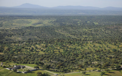 Reunión en el lodge de Campanarios de Azaba